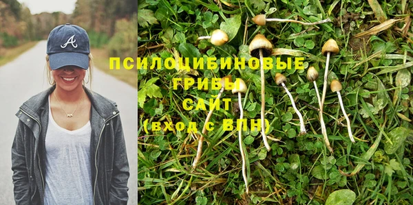 ПСИЛОЦИБИНОВЫЕ ГРИБЫ Ладушкин