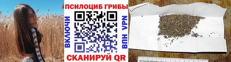 Галлюциногенные грибы Cubensis Купить закладки Новодвинск