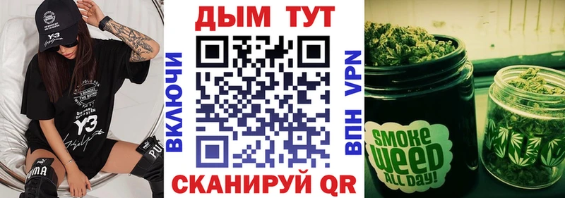 Бошки марихуана сатива  Купить закладки  Новодвинск 